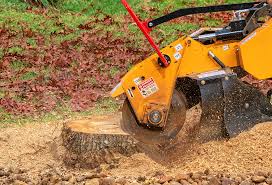 Best Lawn Drainage Solutions  in Burleson, TX