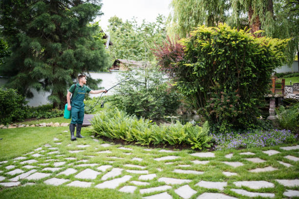 Best Lawn Grading and Leveling  in Burleson, TX