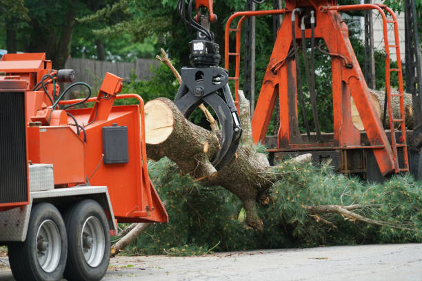 Lawn Watering Services in Burleson, TX