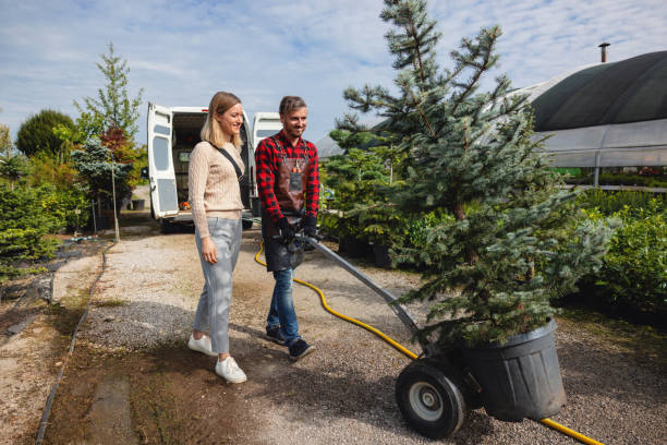 Best Tree Preservation Services  in Burleson, TX